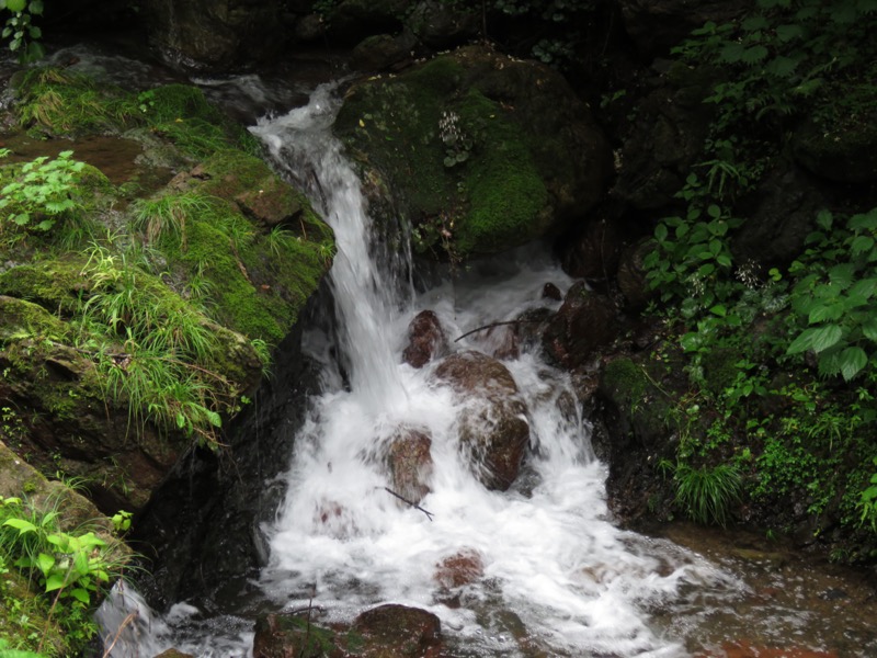 伊豆ヶ岳、