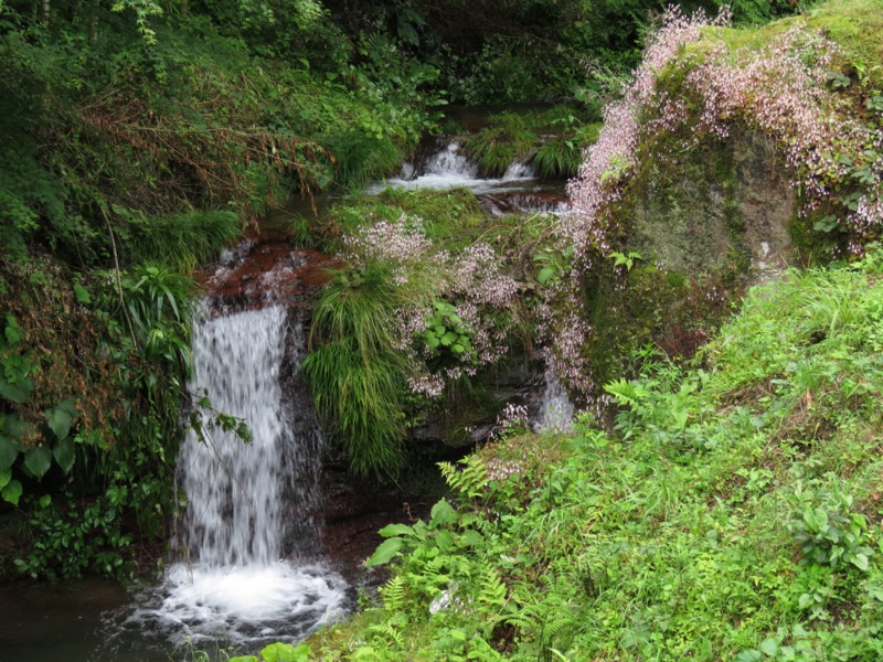 伊豆ヶ岳、