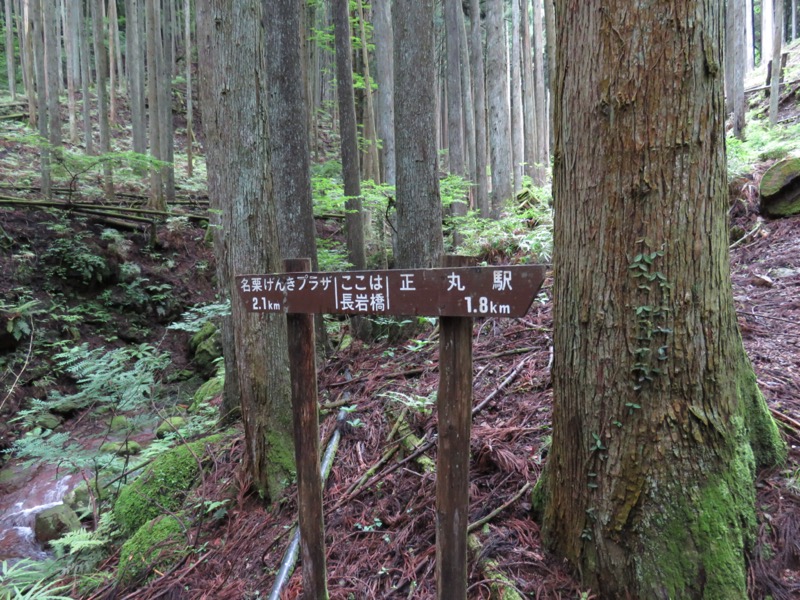 伊豆ヶ岳、