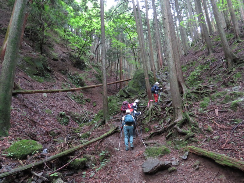 伊豆ヶ岳、