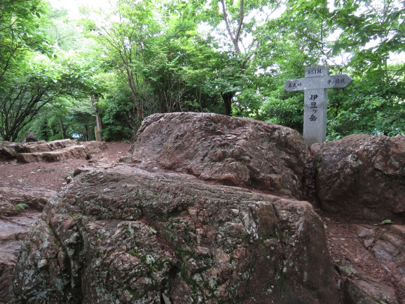 伊豆ヶ岳、