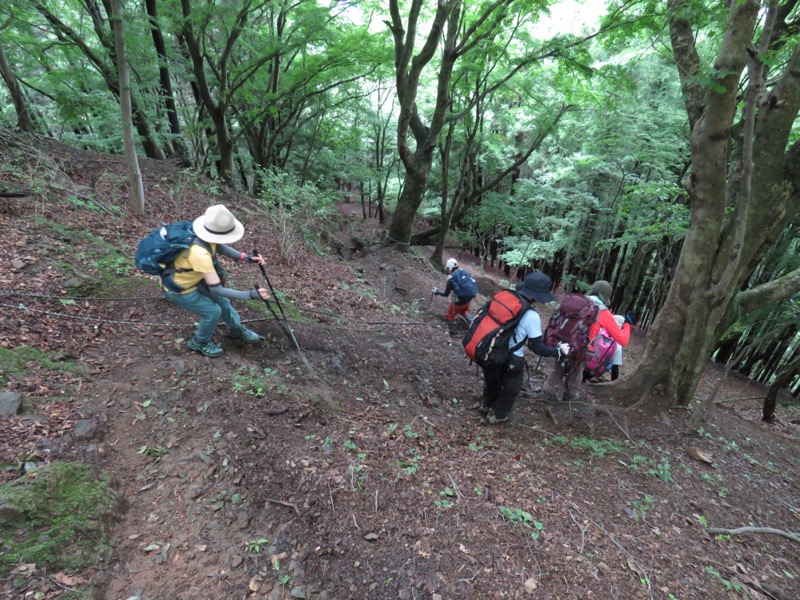 伊豆ヶ岳、