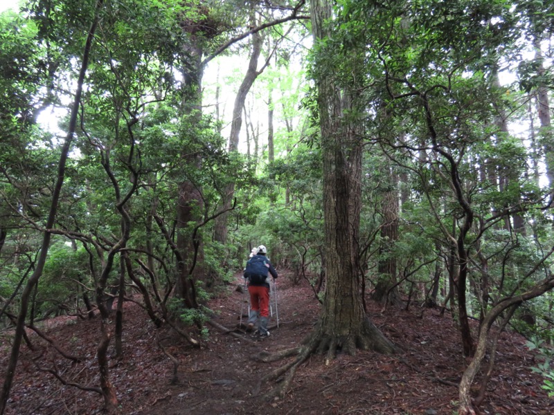 伊豆ヶ岳、