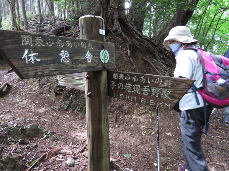 伊豆ヶ岳、