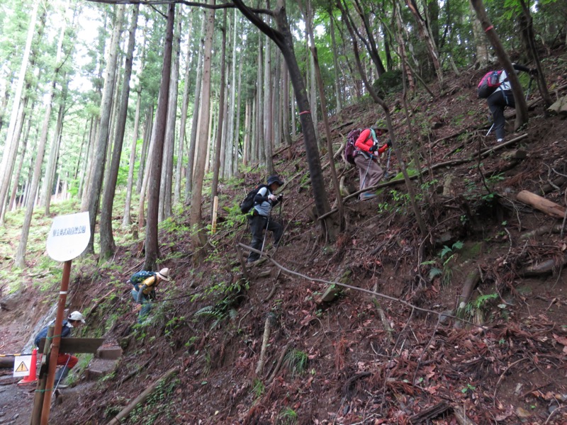 伊豆ヶ岳、