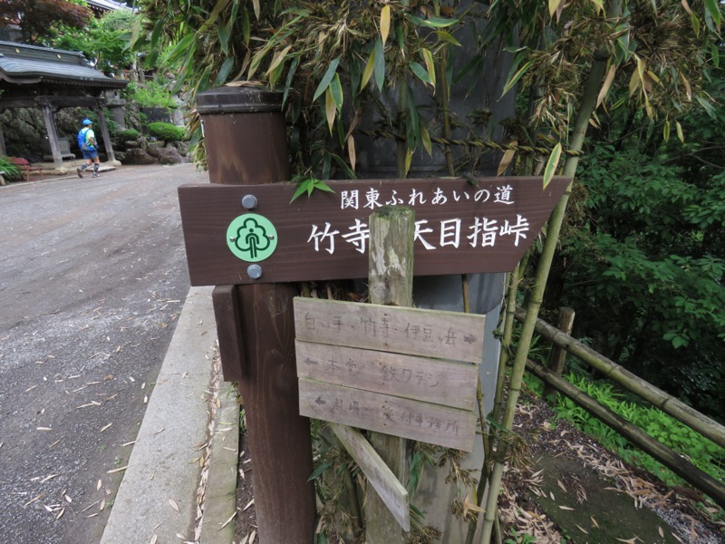 伊豆ヶ岳、