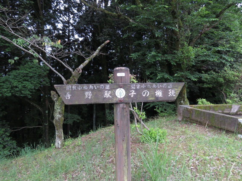 伊豆ヶ岳、