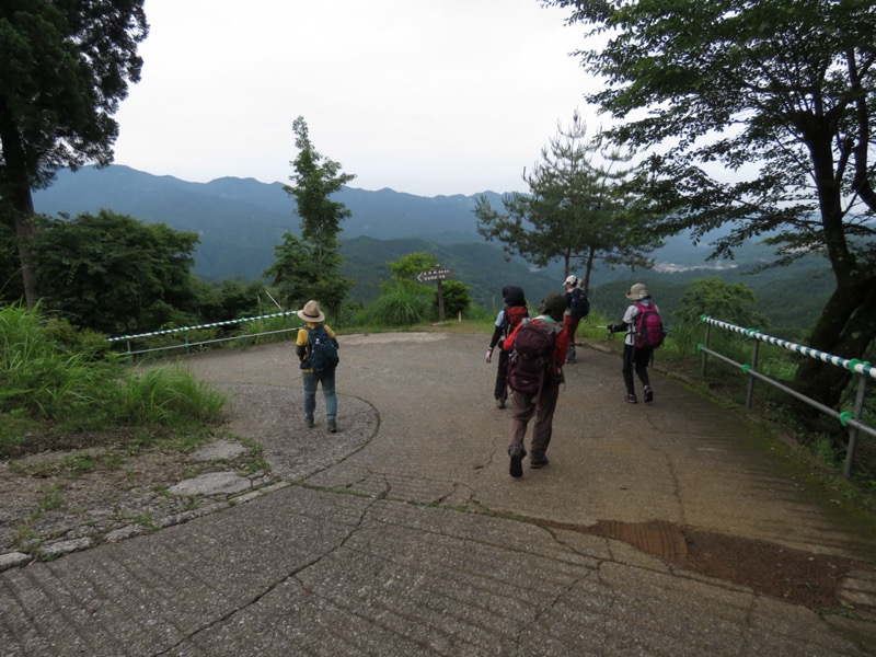 伊豆ヶ岳、