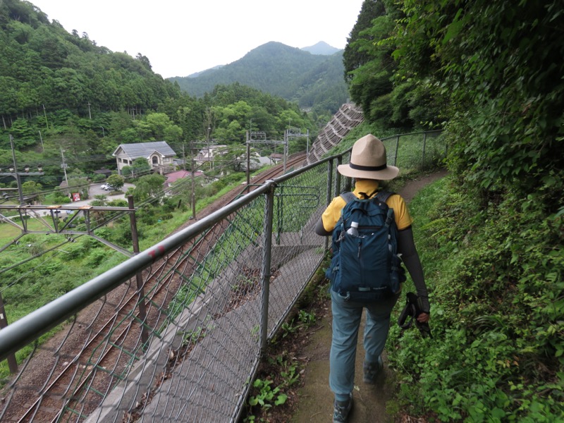 伊豆ヶ岳、