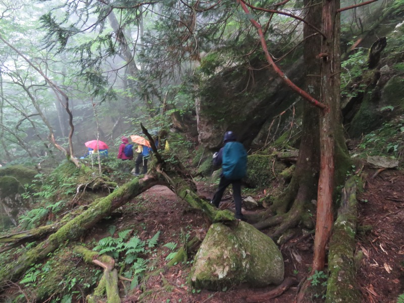 瑞牆山