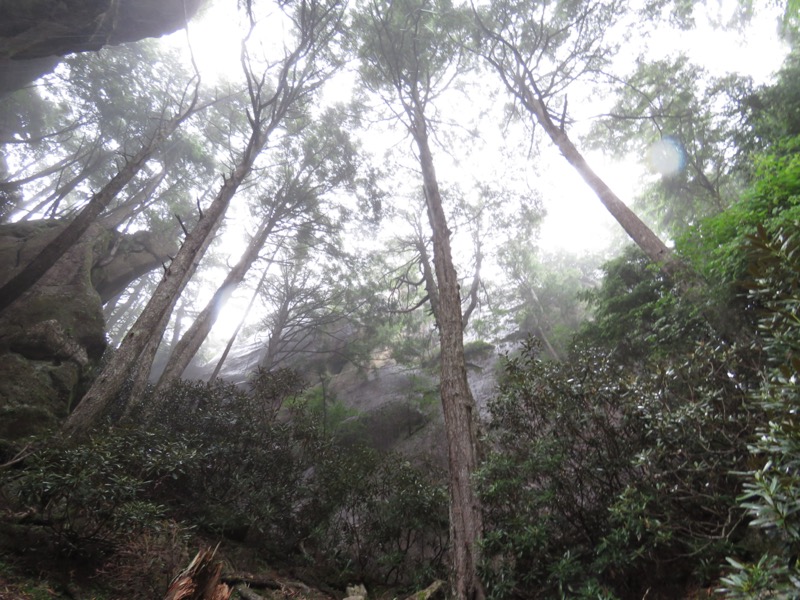 瑞牆山