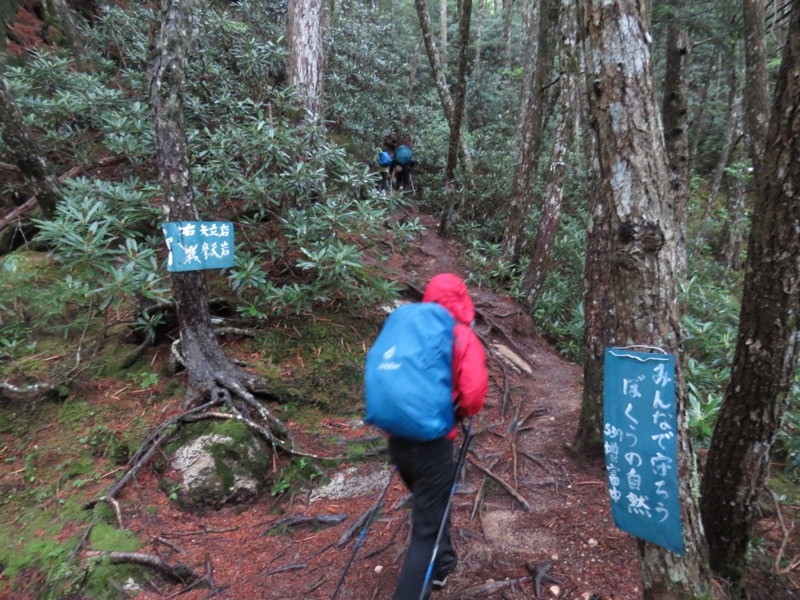 瑞牆山