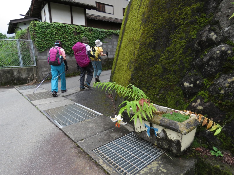 高川山