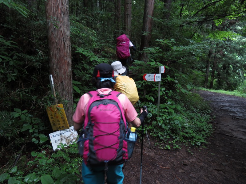 高川山