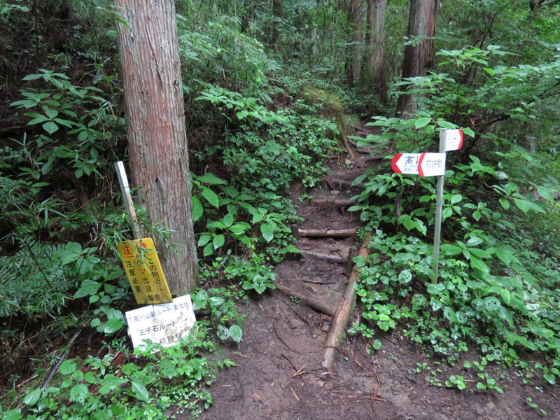 高川山