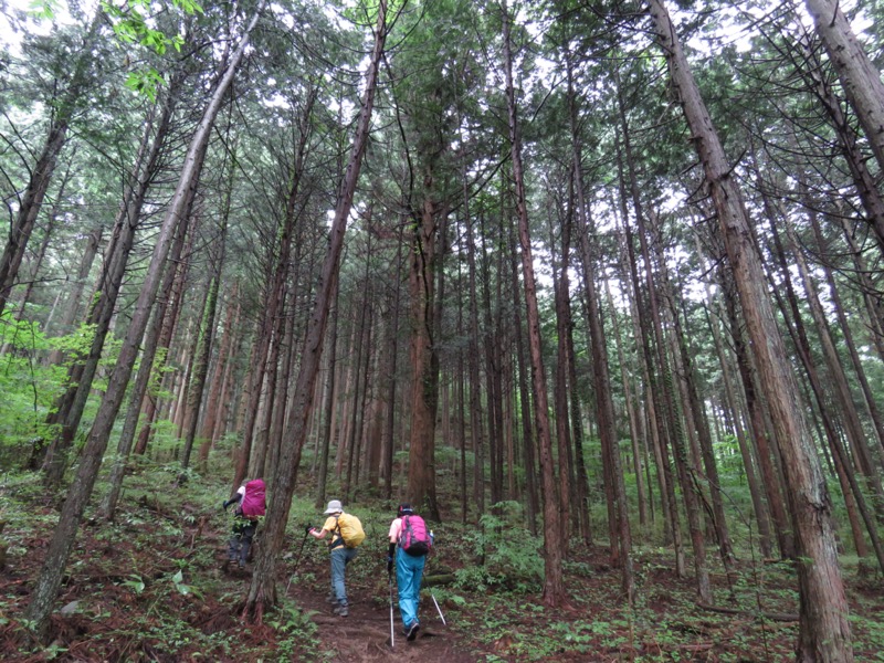 高川山