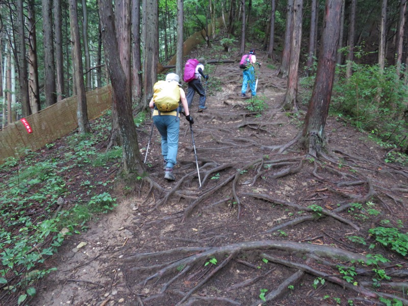 高川山