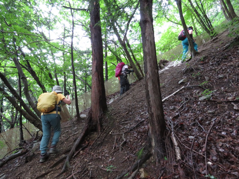 高川山