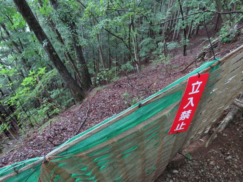 高川山