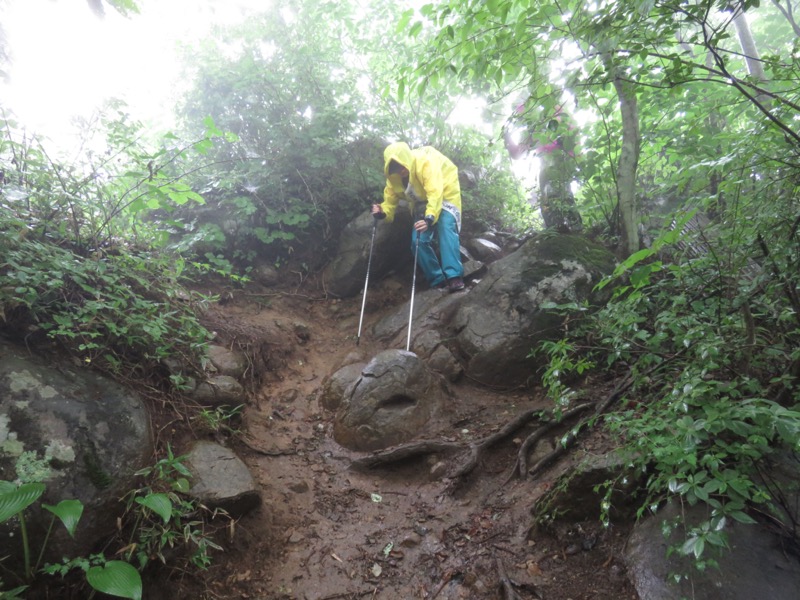 高川山