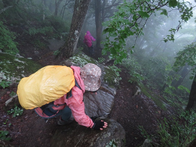 高川山