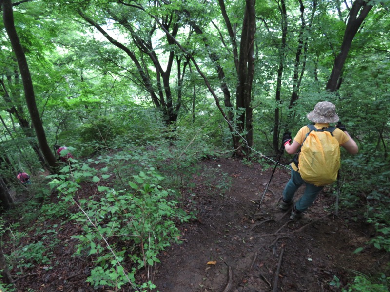 高川山