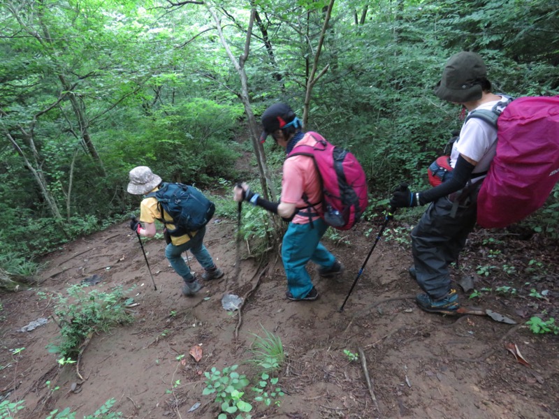 高川山