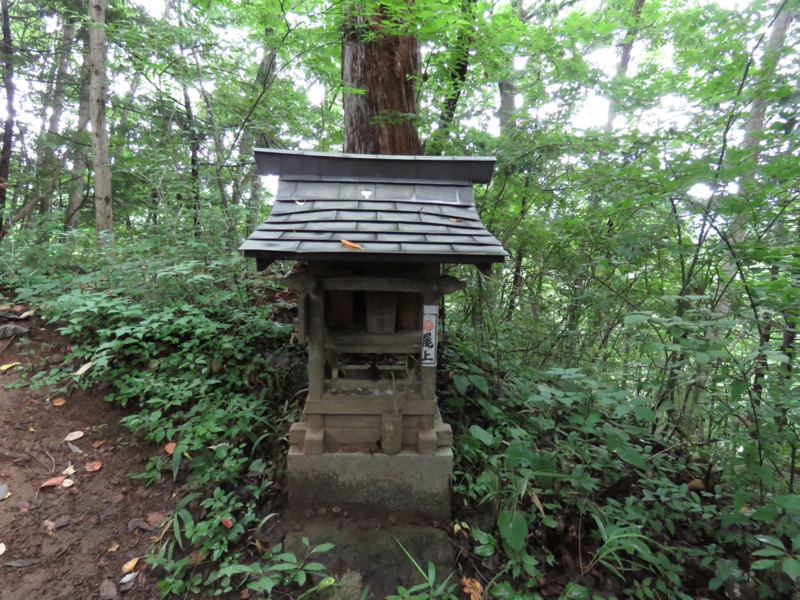 高川山