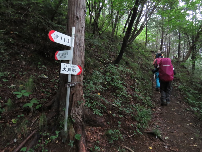 高川山