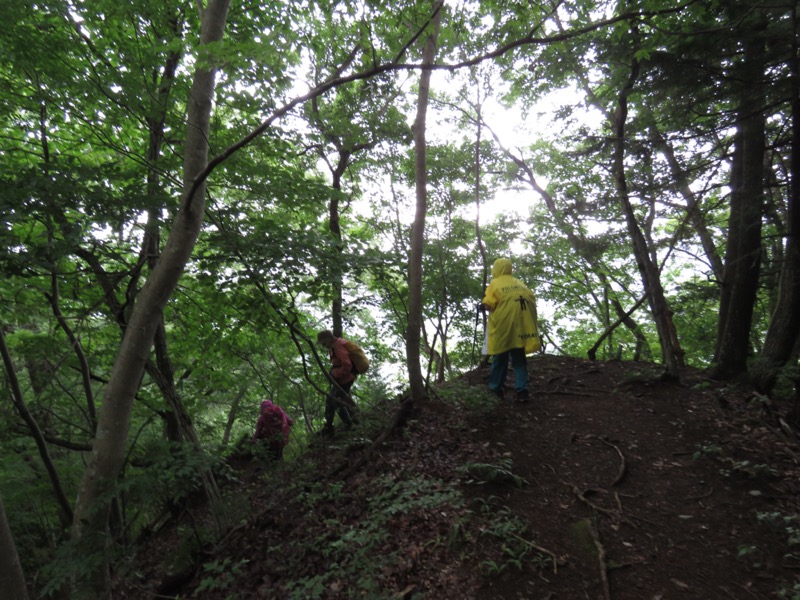 高川山