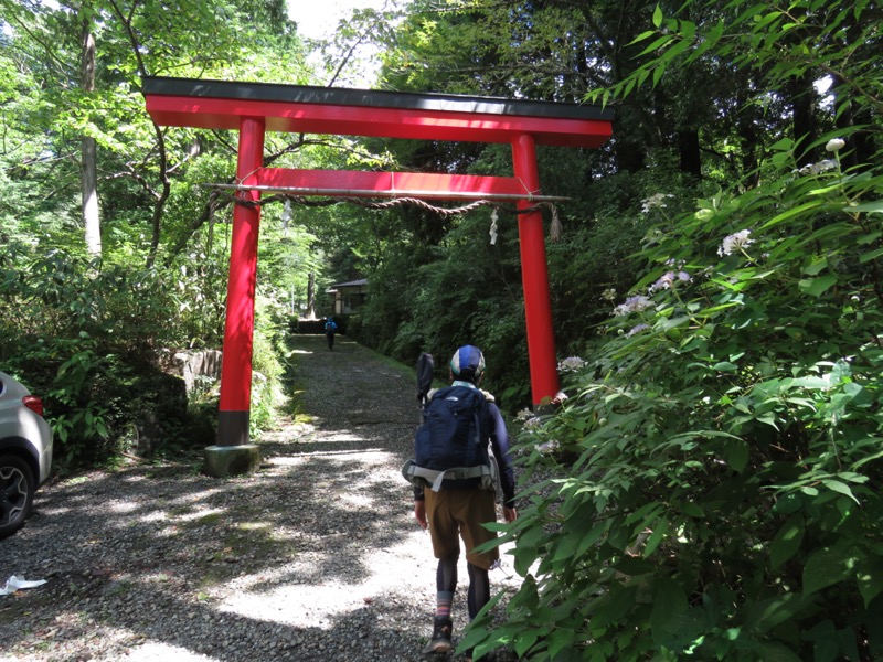 金時山