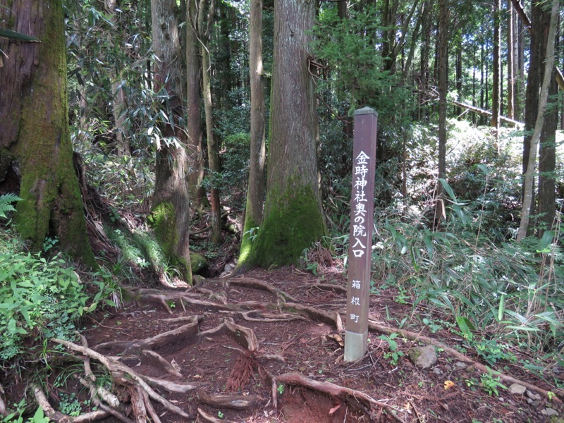 金時山