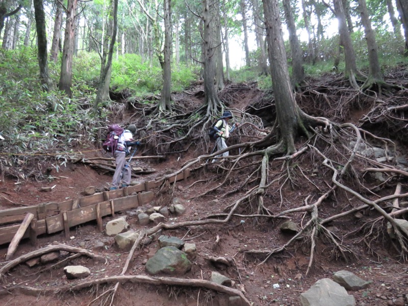 金時山