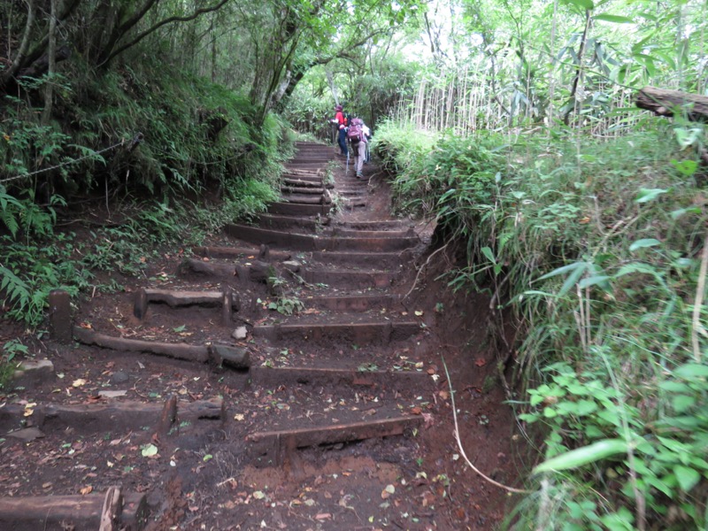 金時山