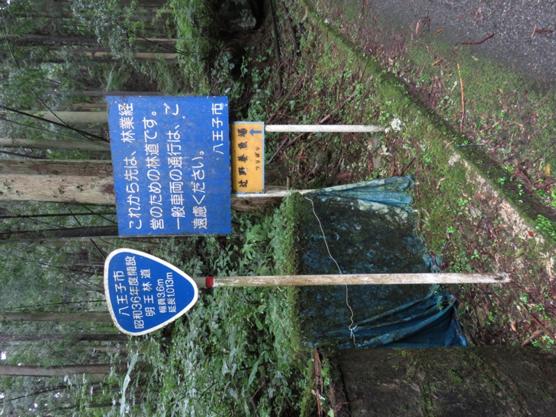 北高尾山稜