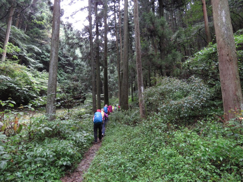 北高尾山稜