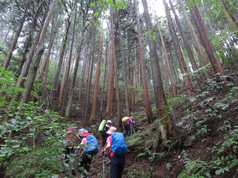 北高尾山稜