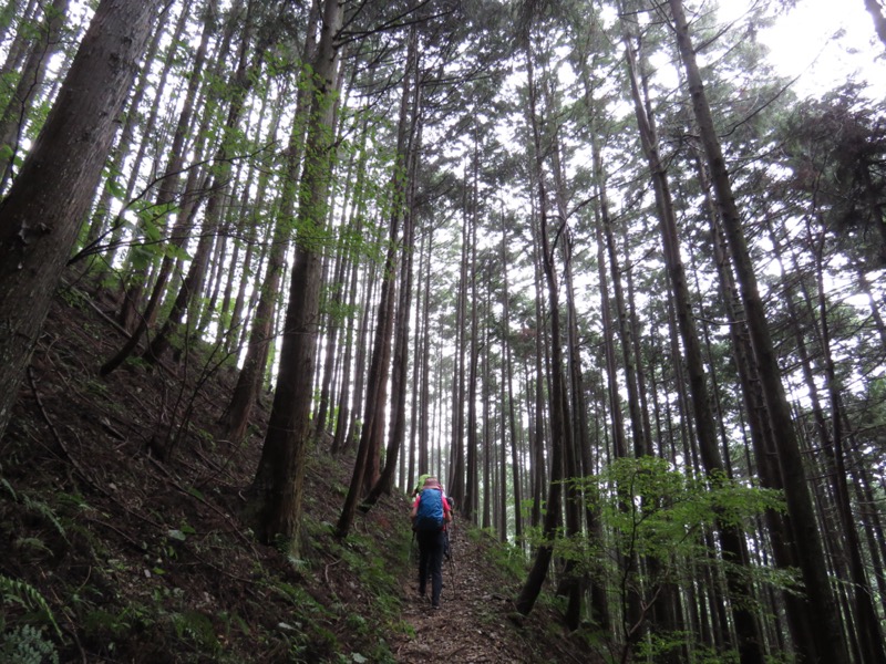 北高尾山稜