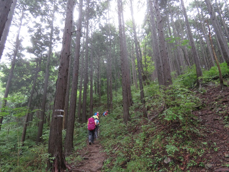 北高尾山稜