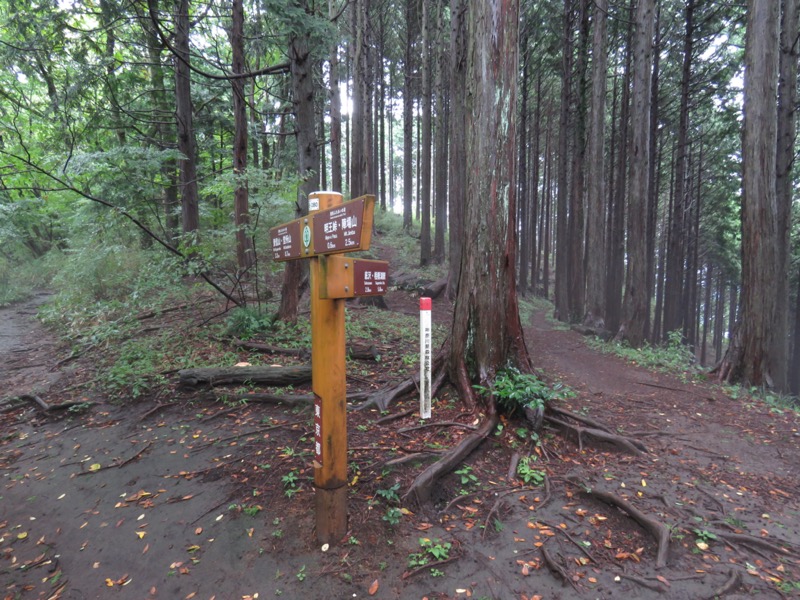 北高尾山稜