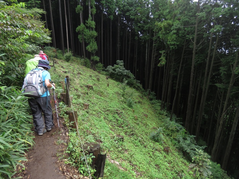 北高尾山稜