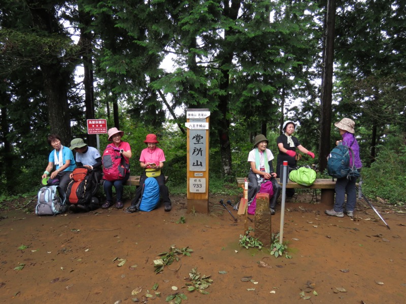 北高尾山稜