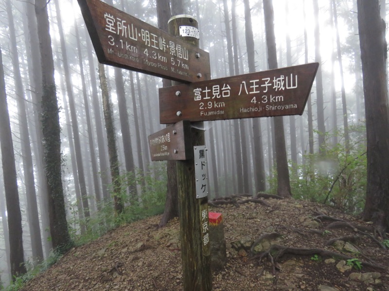 北高尾山稜