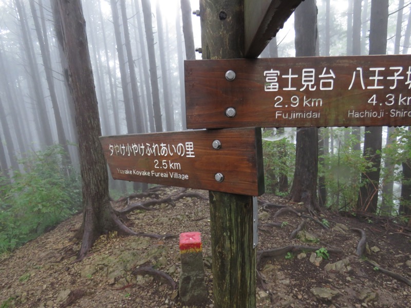 北高尾山稜