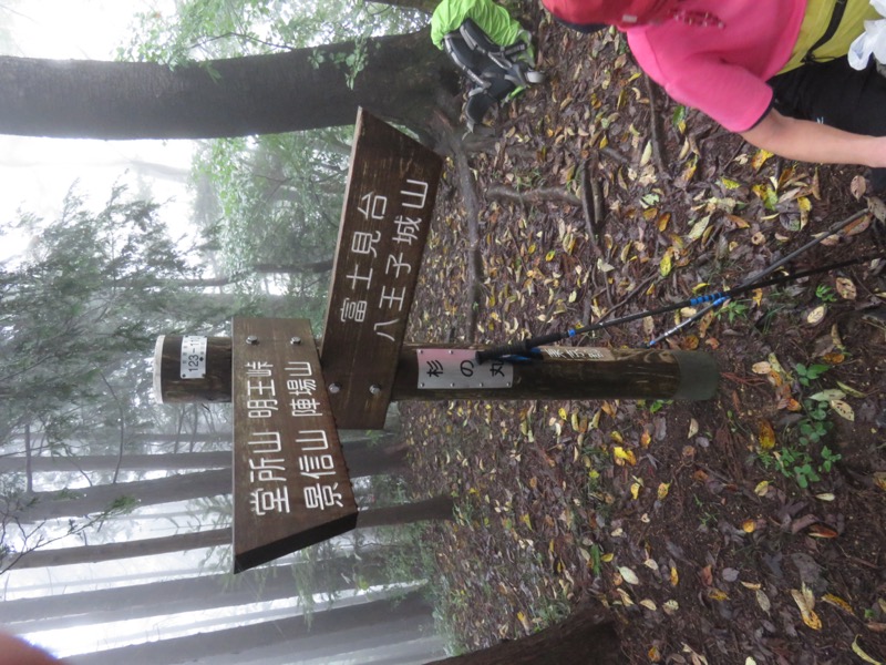 北高尾山稜