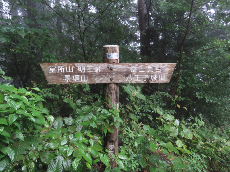 北高尾山稜