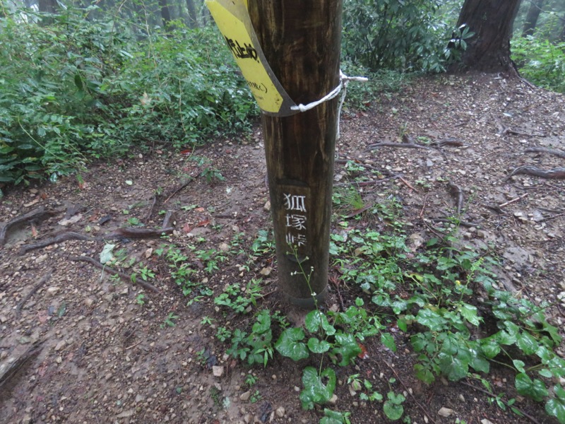 北高尾山稜
