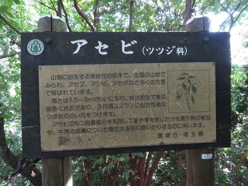 破風山、皆野アルプス