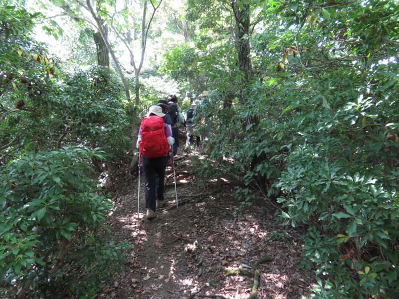 破風山、皆野アルプス