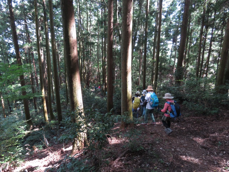 破風山、皆野アルプス